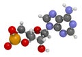 Cyclic adenosine monophosphate cAMP second messenger molecule. 3D rendering. Atoms are represented as spheres with conventional.