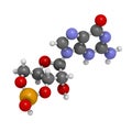 Cyclic guanosine monophosphate (cGMP) molecule. Important second messenger, produced by guanylate cyclase, broken down by