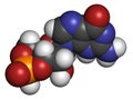 Cyclic guanosine monophosphate (cGMP) molecule. Important second messenger, produced by guanylate cyclase, broken down by