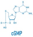 Cyclic guanosine monophosphate or cGMP molecule. Skeletal formula.
