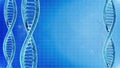 Cyclic rotation of the human DNA.