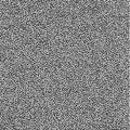 Cyclic Symmetric Multiscale Turing Pattern. Monochrome texture