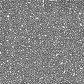 Cyclic Symmetric Multiscale Turing Pattern. Monochrome texture