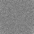 Cyclic Symmetric Multiscale Turing Pattern. Monochrome texture