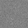 Cyclic Symmetric Multiscale Turing Pattern. Monochrome texture