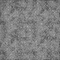 Cyclic Symmetric Multiscale Turing Pattern. Monochrome texture
