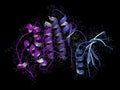 Cyclin-dependent kinase 6 (CDK6) bound to the inhibitor ribociclib. Enzyme involved in cell cycle regulation and target of several Royalty Free Stock Photo