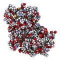 Cyclin-dependent kinase 6 (CDK6) bound to the inhibitor ribociclib. Enzyme involved in cell cycle regulation and target of several