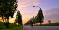 Cycling Alone at Sunrise