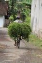 Cycling around the village, version 15
