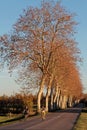 Cycling in countryside of La Dombes during fall