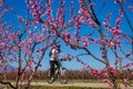 Cycling on the flowering peach trees in the Veria Plain, organized for the third time by the Veria Touristic Club