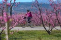 Cycling on the flowering peach trees in the Veria Plain, organized for the third time by the Veria Touristic Club