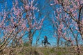 Cycling on the flowering peach trees in the Veria Plain, organized for the third time by the Veria Touristic Club