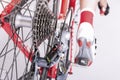 Cycling Ideas. Rear Derailleur and Cassette Sprokets Along With