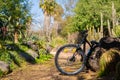 Cycling through the park in a bright climate. The bike is parked in the jungle Royalty Free Stock Photo