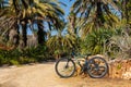 Cycling through the park in a bright climate. The bike is parked in the jungle Royalty Free Stock Photo