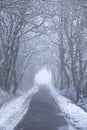 Cycling path in winter time with snow