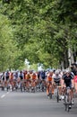 Cycling Race - Herald Sun Tour