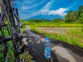 Cycling in the rice fields Royalty Free Stock Photo