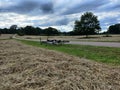 Cycling summer fields love together Royalty Free Stock Photo