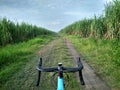 Cycling to Gardening field out of town with a roadbike bicycle in the morning and take a shot blue sky background