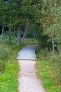 Cycling and walking path on the heathland in the Hoge Veluwe nature reserve in the Netherlands