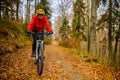 Cycling woman riding on bike in autumn forest landscape. Woman cycling MTB flow trail track. Outdoor sport activity Royalty Free Stock Photo