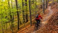 Cycling woman riding on bike in autumn forest landscape. Woman cycling MTB flow trail track. Outdoor sport activity Royalty Free Stock Photo