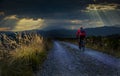 Cycling woman riding on bike in autumn mountains forest landscape. Woman cycling MTB gravel road trail track. Outdoor sport