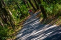 Cycling in the woods