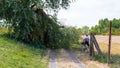 Cyclist avoiding a fallen tree from a strong wind lying on a dirt road in a field in western Germany.