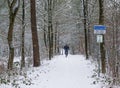 Cyclist biking on a fully in white snow covered road, cycling in a snowy forest landscape Royalty Free Stock Photo