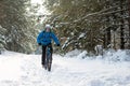 Cyclist in Blue Riding the Mountain Bike in Beautiful Winter Forest. Extreme Sport and Enduro Biking Concept. Royalty Free Stock Photo