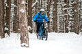 Cyclist in Blue Riding the Mountain Bike in Beautiful Winter Forest. Extreme Sport and Enduro Biking Concept. Royalty Free Stock Photo