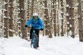 Cyclist in Blue Riding the Mountain Bike in Beautiful Winter Forest. Extreme Sport and Enduro Biking Concept. Royalty Free Stock Photo