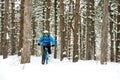 Cyclist in Blue Riding the Mountain Bike in Beautiful Winter Forest. Extreme Sport and Enduro Biking Concept. Royalty Free Stock Photo