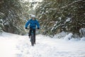 Cyclist in Blue Riding the Mountain Bike in Beautiful Winter Forest. Extreme Sport and Enduro Biking Concept.