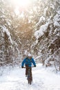 Cyclist in Blue Riding the Mountain Bike in Beautiful Sunny Winter Forest. Extreme Sport and Enduro Biking Concept. Royalty Free Stock Photo