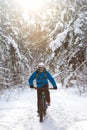 Cyclist in Blue Riding the Mountain Bike in Beautiful Sunny Winter Forest. Extreme Sport and Enduro Biking Concept.