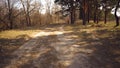 Cyclist. Caucasian sport woman rides along the track in the forest on a spring sunny day. Riding a sportsman girl on a Royalty Free Stock Photo