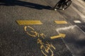 Cyclist on a crossing in a city casting a long shadow