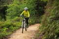 Cyclist cycling mountain bike on forest trail Royalty Free Stock Photo