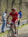 The Cyclist Cyril Lemoine in The Forest of Arenberg- Paris Roubaix 2015 Royalty Free Stock Photo