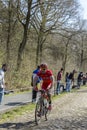 The Cyclist Cyril Lemoine in The Forest of Arenberg- Paris Roubaix 2015 Royalty Free Stock Photo