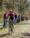 The Cyclist Davide Cimolai - Paris Roubaix 2015 Royalty Free Stock Photo