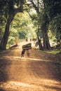 Cyclist on Dirt Road in the jungle. Cambodia