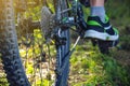 Cyclist on a green mountain bike in the woods riding on the grass. Bottom and back view. Concept of active lifestyle Royalty Free Stock Photo