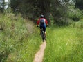 Cyclist on the Israeli single track