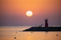 A cyclist looks from the lighthouse at the sea with an island and flock of birds. Royalty Free Stock Photo